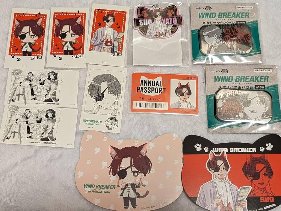 Amazon | WIND BREAKER ウィンブレ 蘇枋隼飛 セット | 風車・紙飛行機